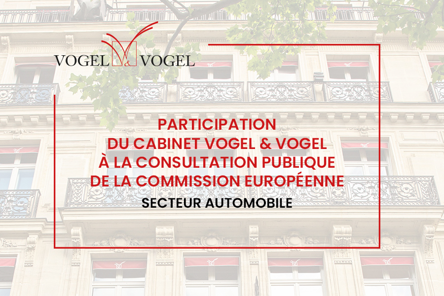 Consultation publique _ Commission européenne